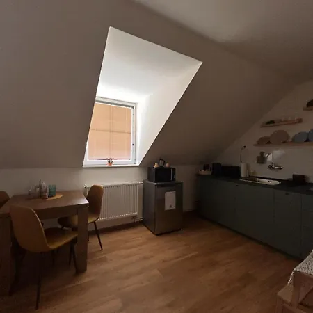 Apartment Drahuska * Praag